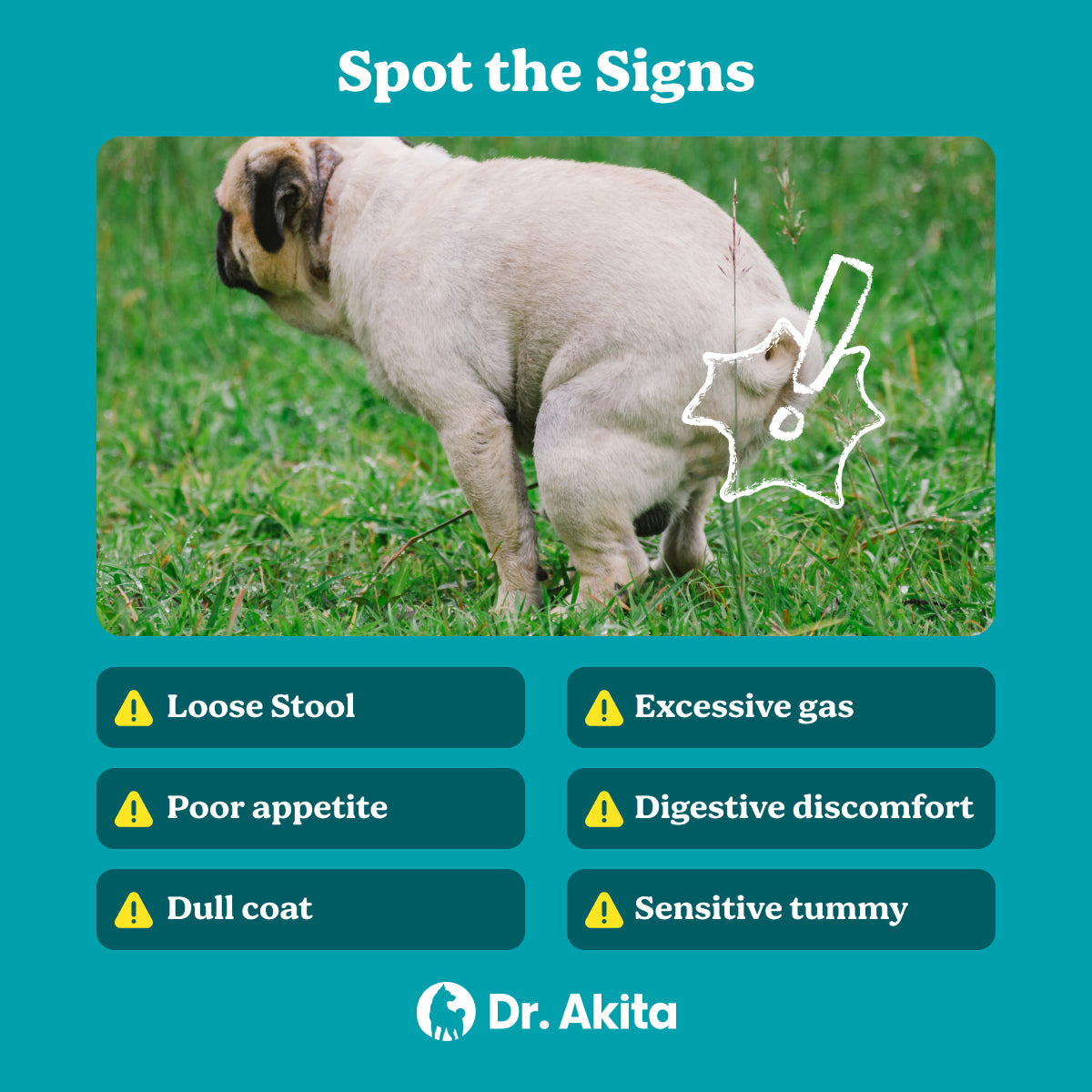 Happy Tummy - Probiotic Dog Supplement Soft Chews For A Healthy Gut