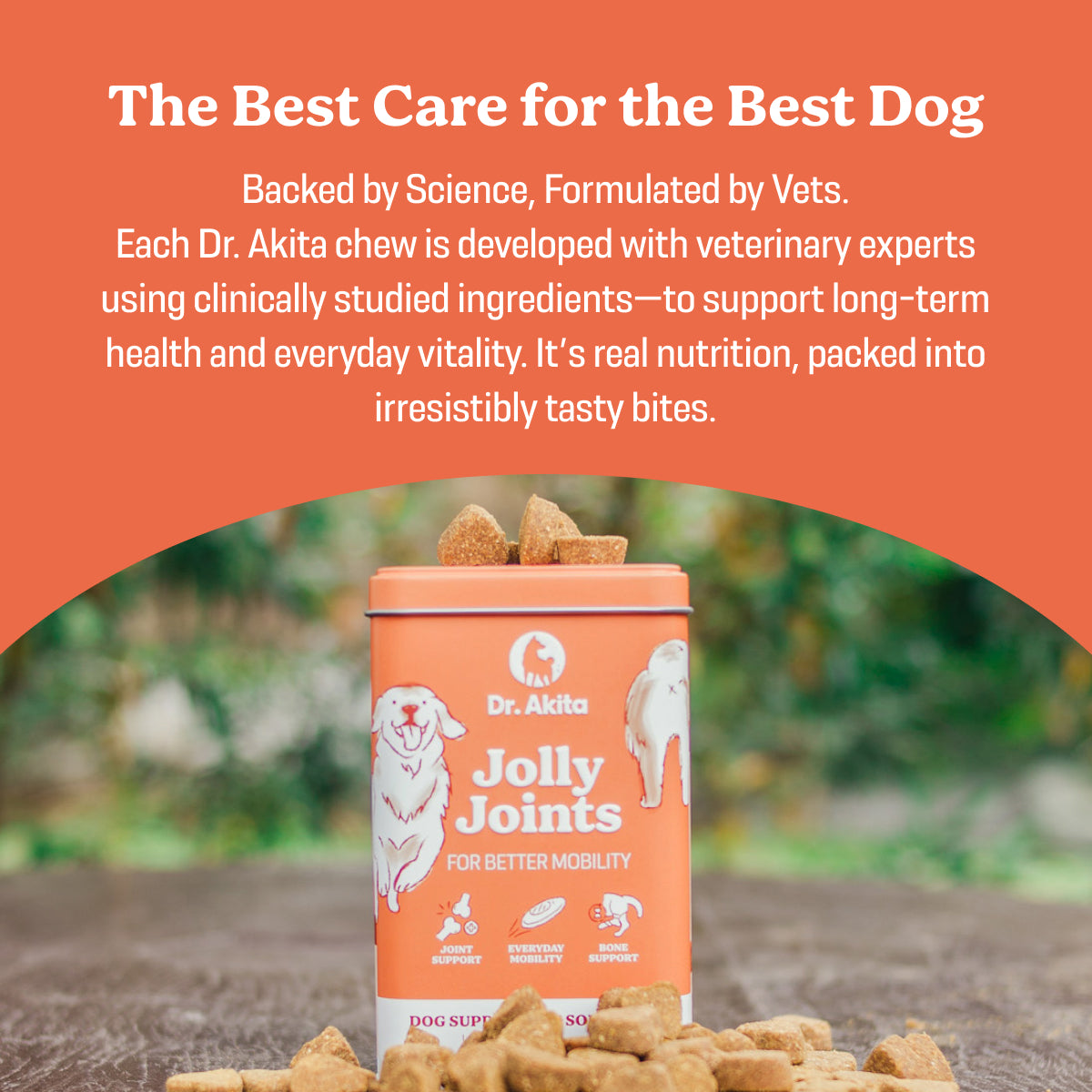 Jolly Joints - Dog Supplement Soft Chews For Healthy Bones & Joints