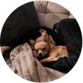 Napperoni