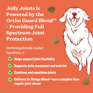 Jolly Joints - Dog Supplement Soft Chews For Healthy Bones & Joints