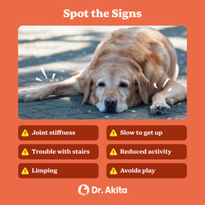 Jolly Joints - Dog Supplement Soft Chews For Healthy Bones & Joints