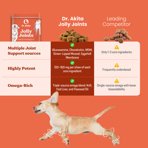 Jolly Joints - Dog Supplement Soft Chews For Healthy Bones & Joints